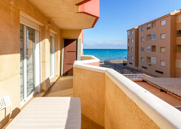 Pet Friendly Apartment